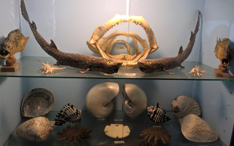 Natural History Museum Argolida